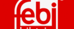 Logo FEBI